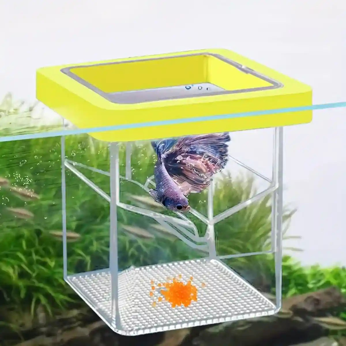 Suspended Fish Breeding Box Floating Isolation Tank