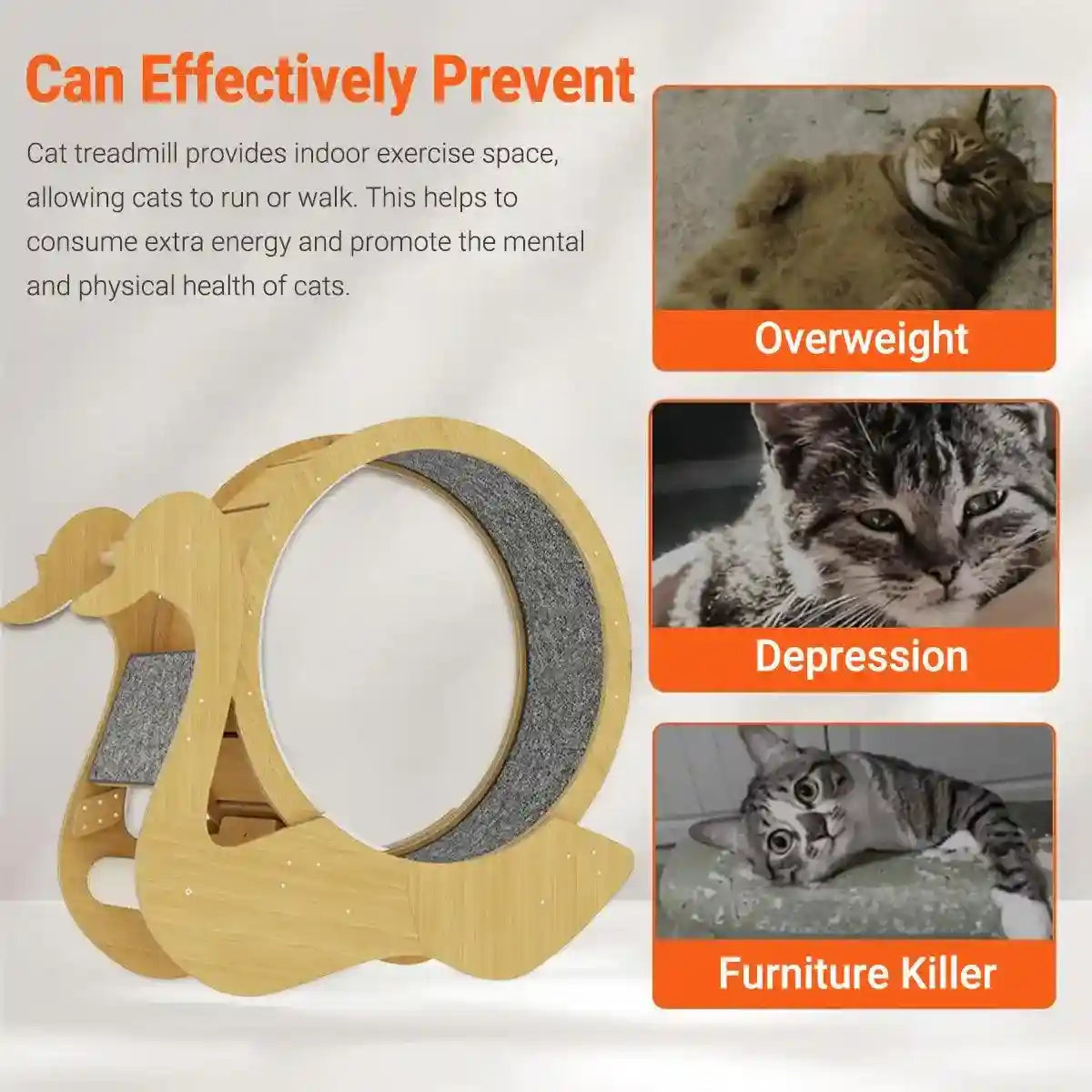 Spacious Wooden Cat Treadmill with Scratch Pad & Quiet Rollers