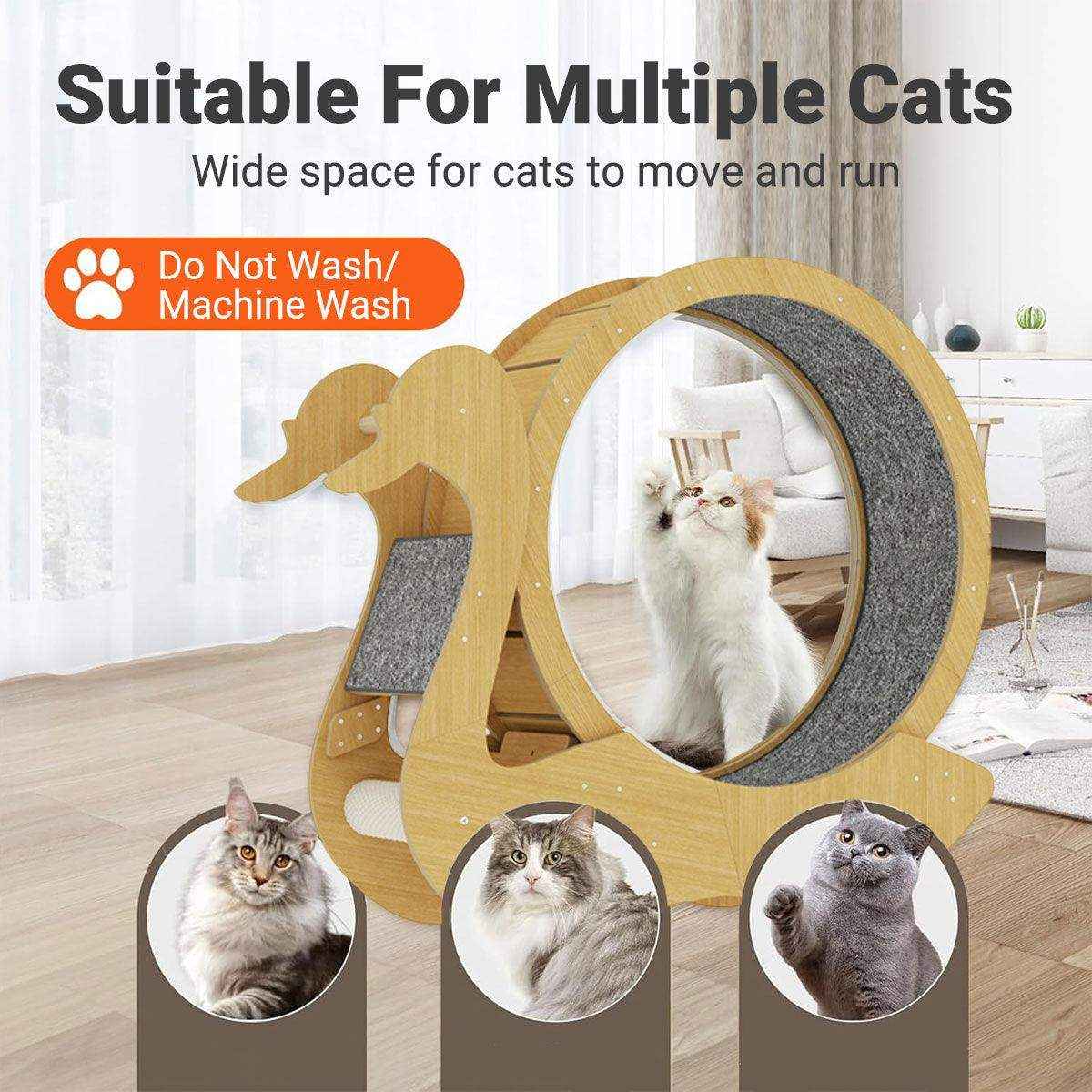 Spacious Wooden Cat Treadmill with Scratch Pad & Quiet Rollers