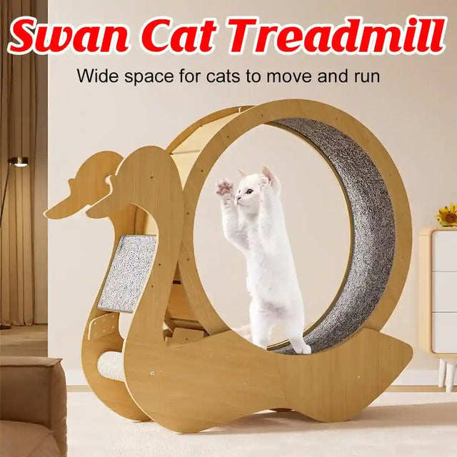 Wooden cat treadmill with a built-in scratching post and silent rollers for smooth and quiet operation.