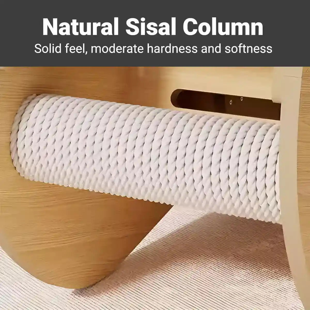 Spacious Wooden Cat Treadmill with Scratch Pad & Quiet Rollers