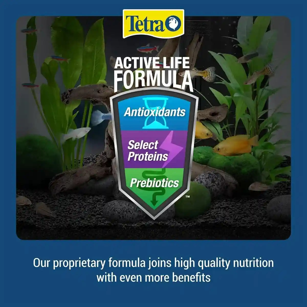 TETRAMIN TROPICAL FLAKES 12G