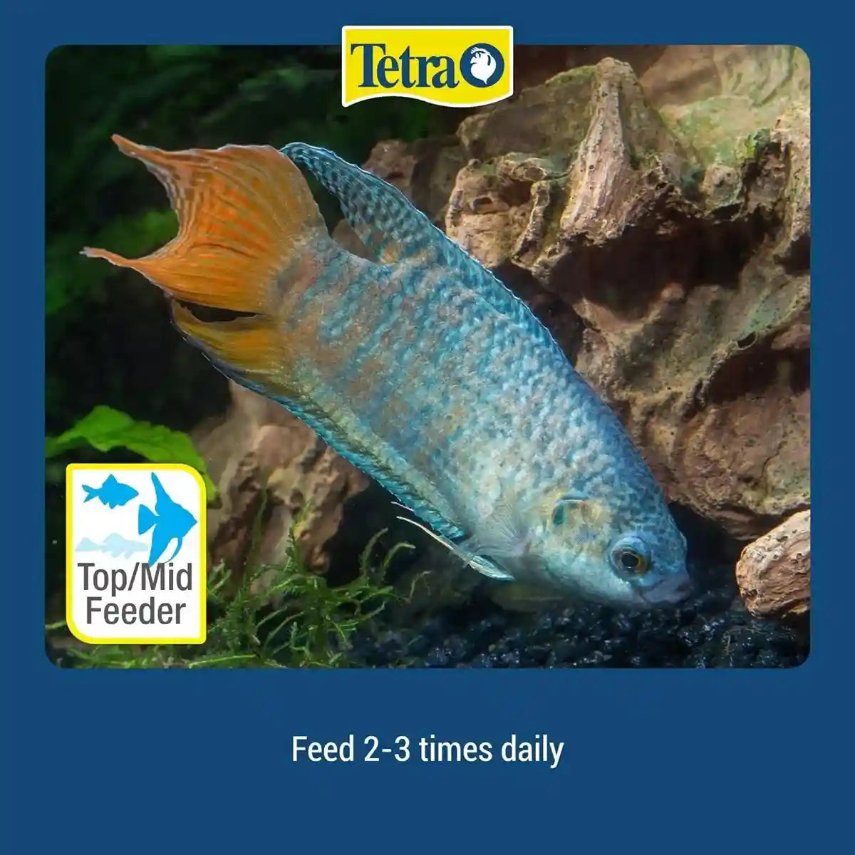 TETRAMIN TROPICAL FLAKES 12G