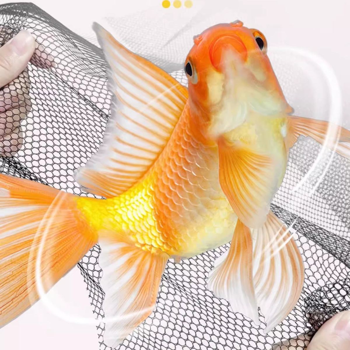 Fish Tank Cover Anti-Jump Net with Magnetic Mount (40 x 60 cm)
