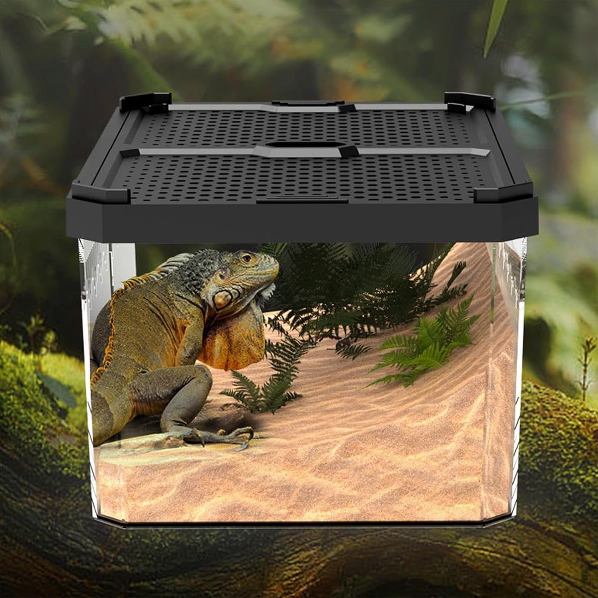 Stackable Reptile Terrarium Breeding Box with Magnetic Lid (Small)
