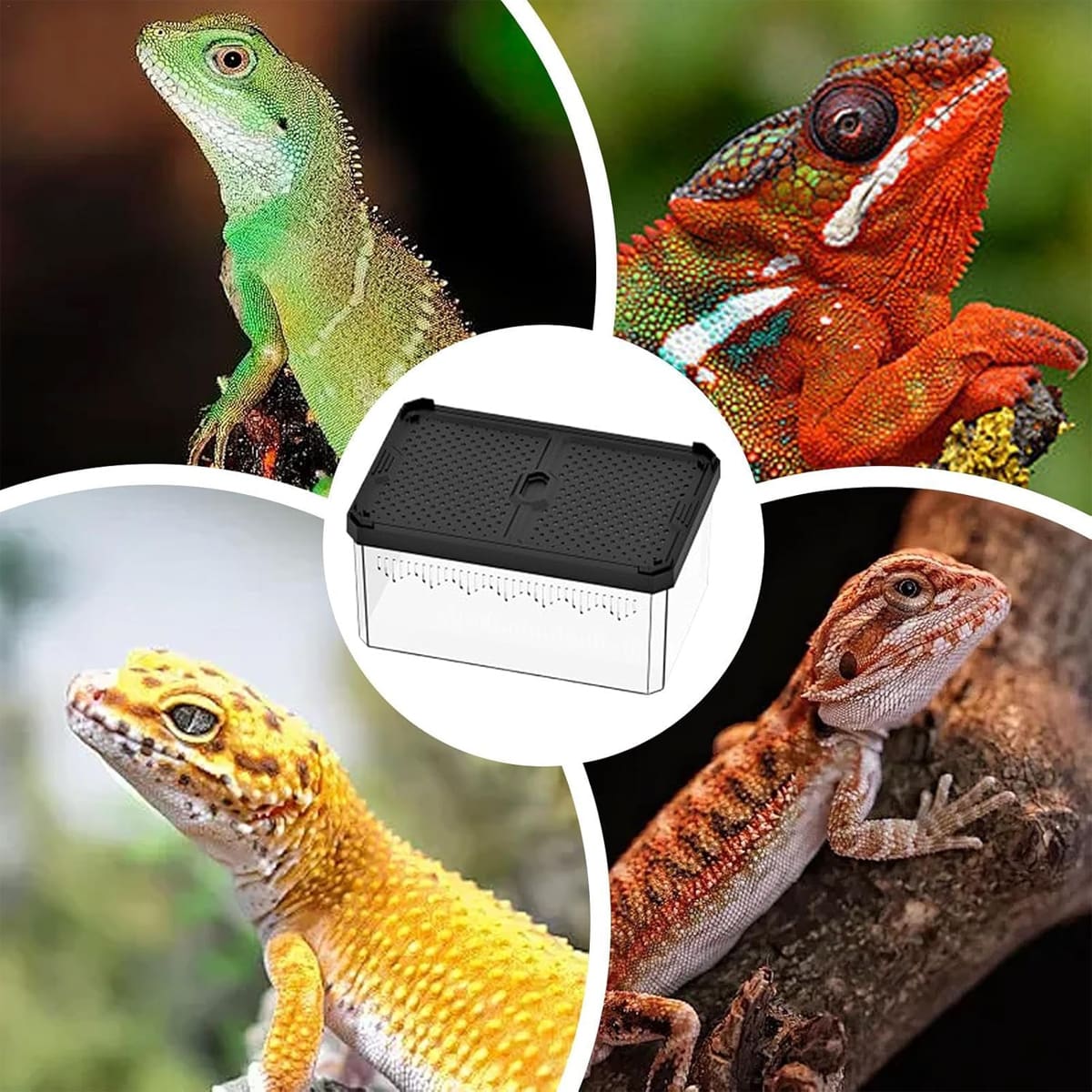 Stackable Reptile Terrarium Breeding Box with Magnetic Lid (Small)