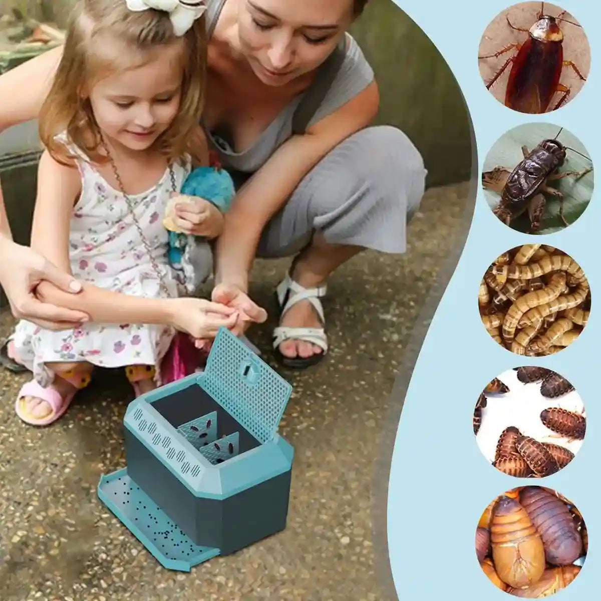 Anti-Escape Insect Breeding Box with Drawer