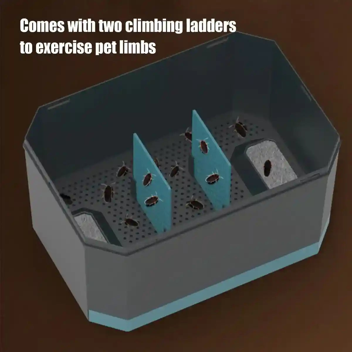 Anti-Escape Insect Breeding Box with Drawer