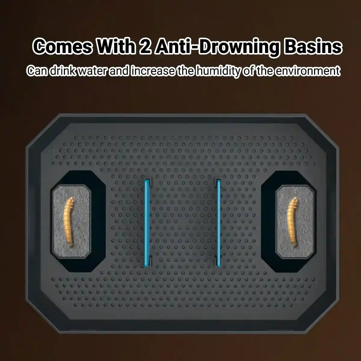 Anti-Escape Insect Breeding Box with Drawer