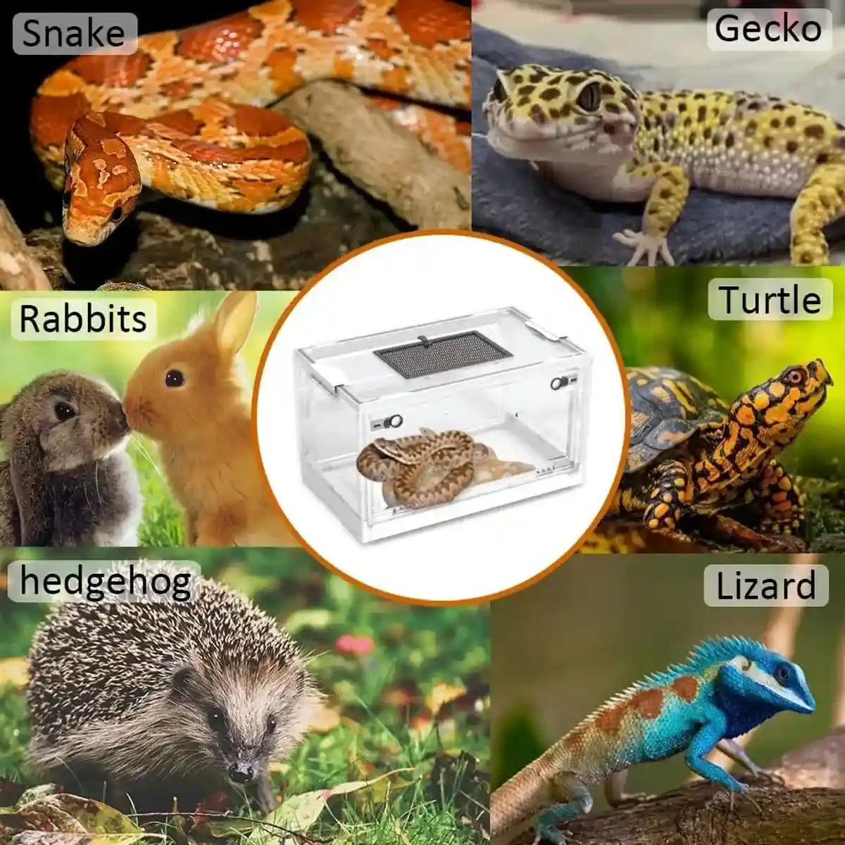 Foldable Transparent Small Pet Breeding Box with Mesh Lid