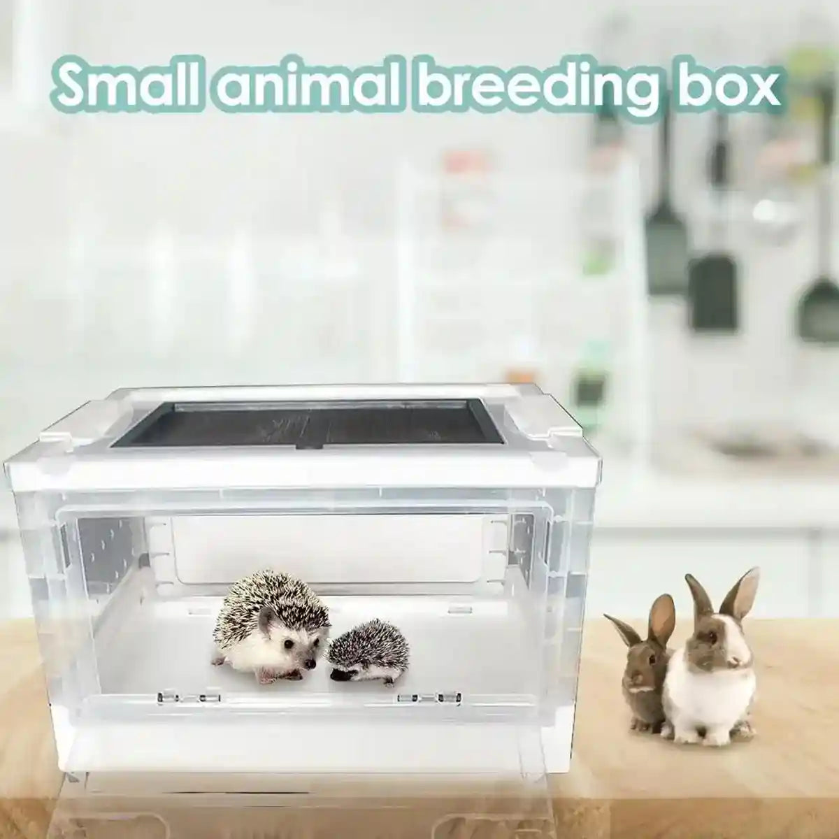 Foldable Transparent Small Pet Breeding Box with Mesh Lid