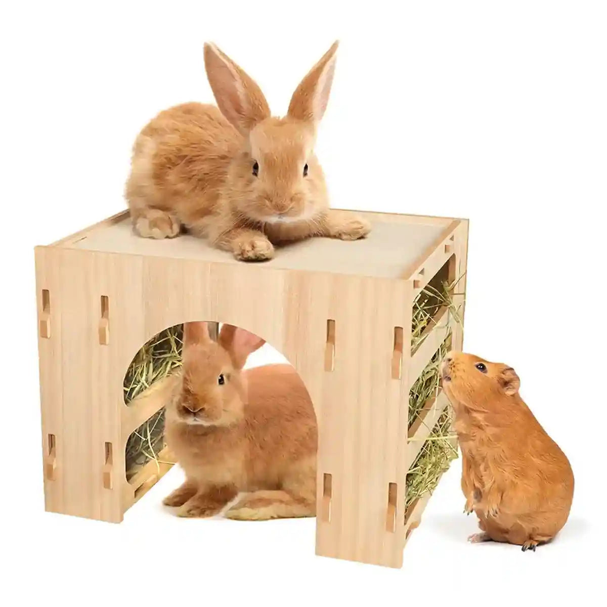 3-in-1 Wooden Hideout Tunnel with Bunny Hay Feeder Rack