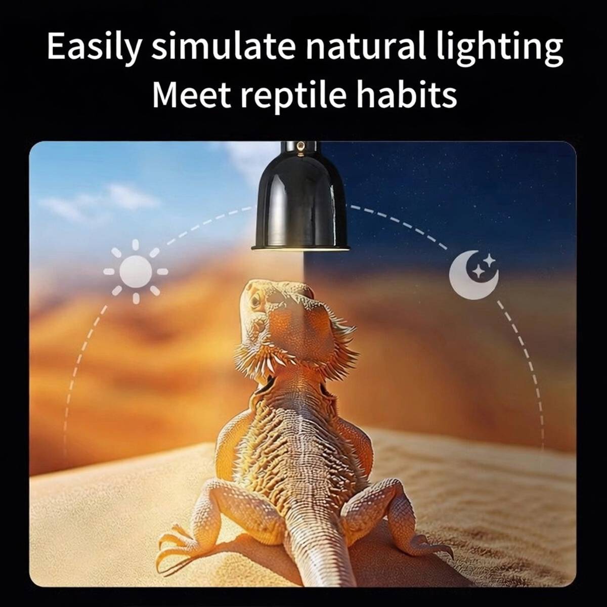 Reptile Lamp Shade Timer - Cleen Turtle Drying Backlight (A/B/C)