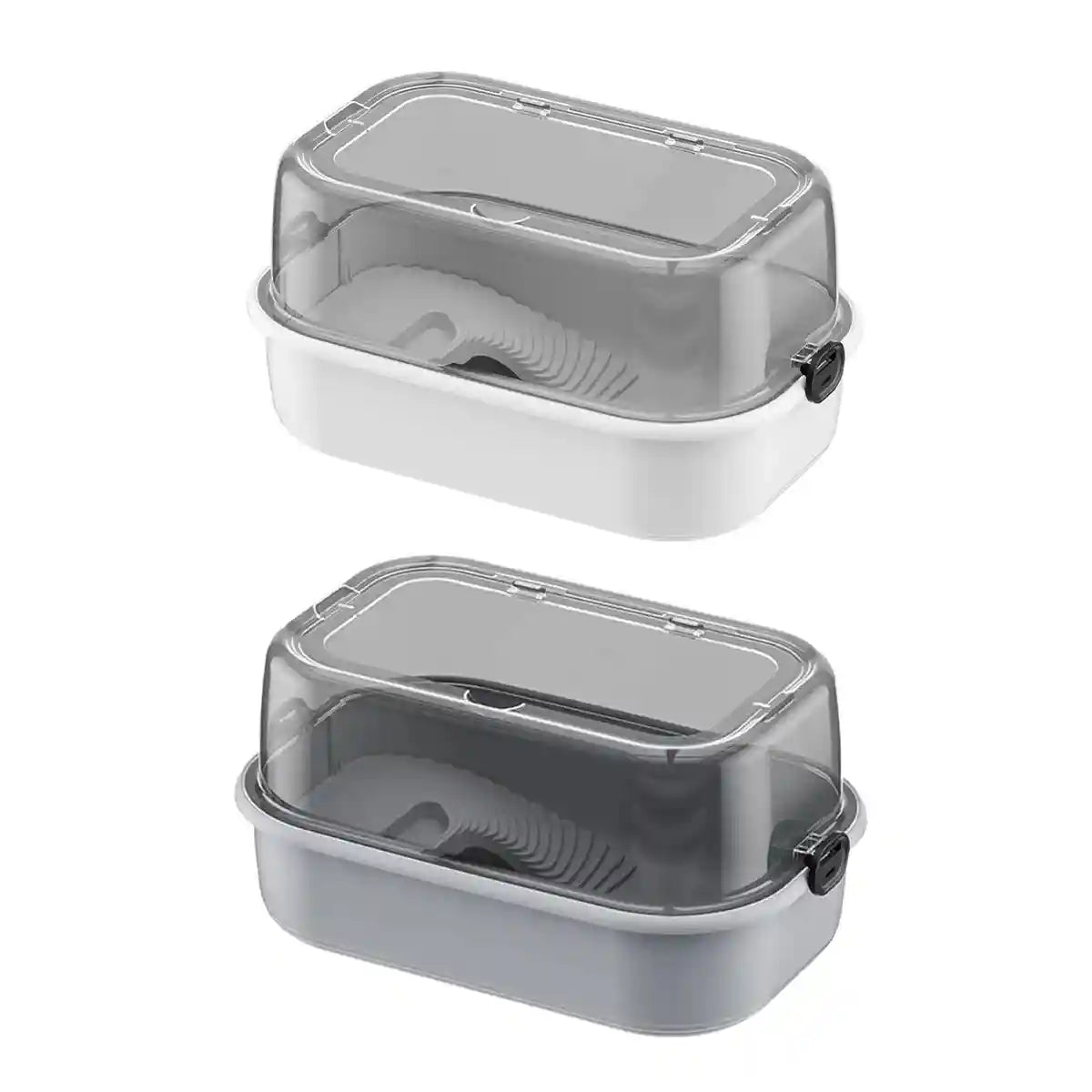 Turtle Breeding Box With Panoramic View