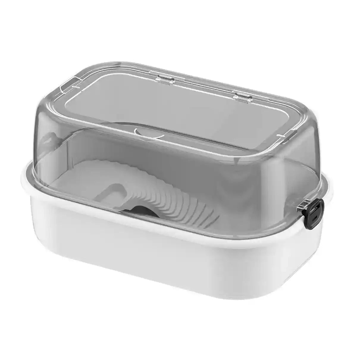 Turtle Breeding Box With Panoramic View