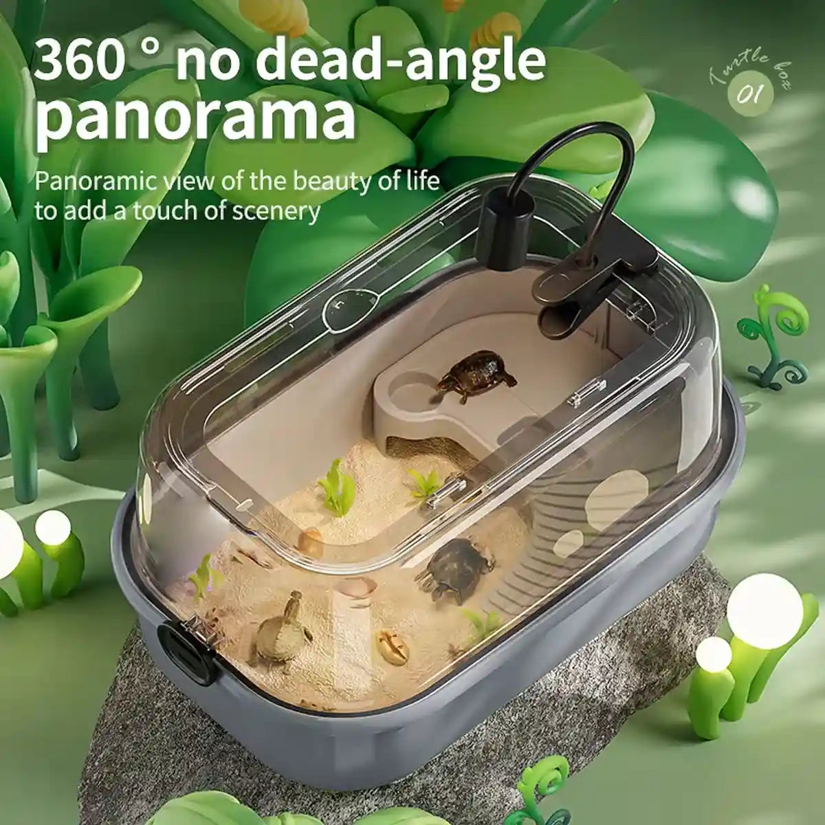 Turtle Breeding Box With Panoramic View