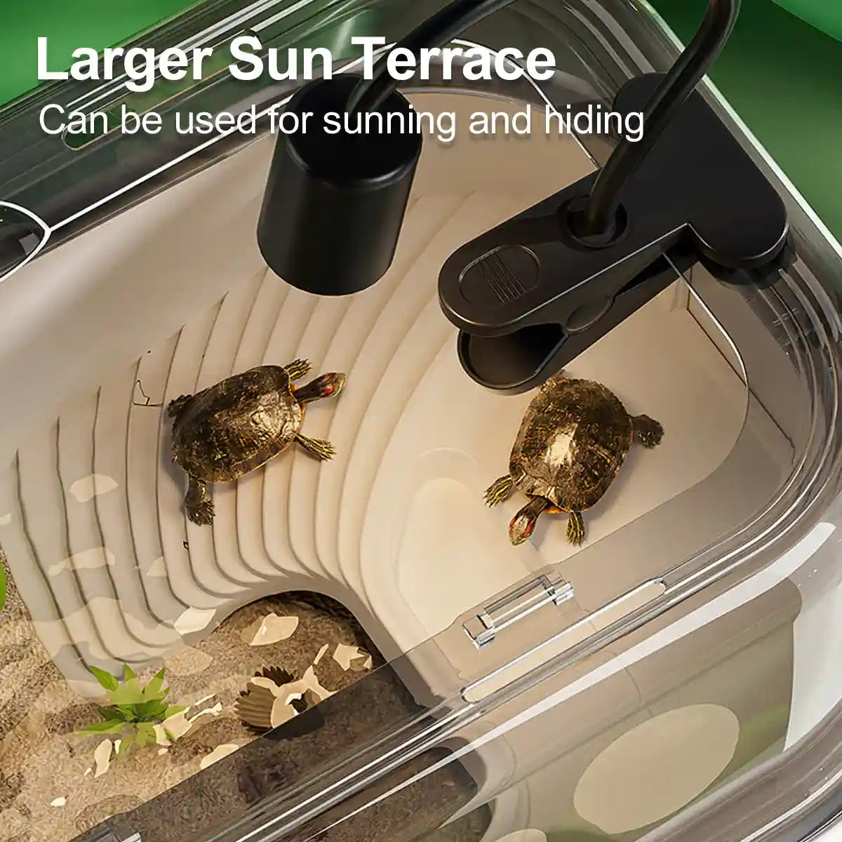 Turtle Breeding Box With Panoramic View