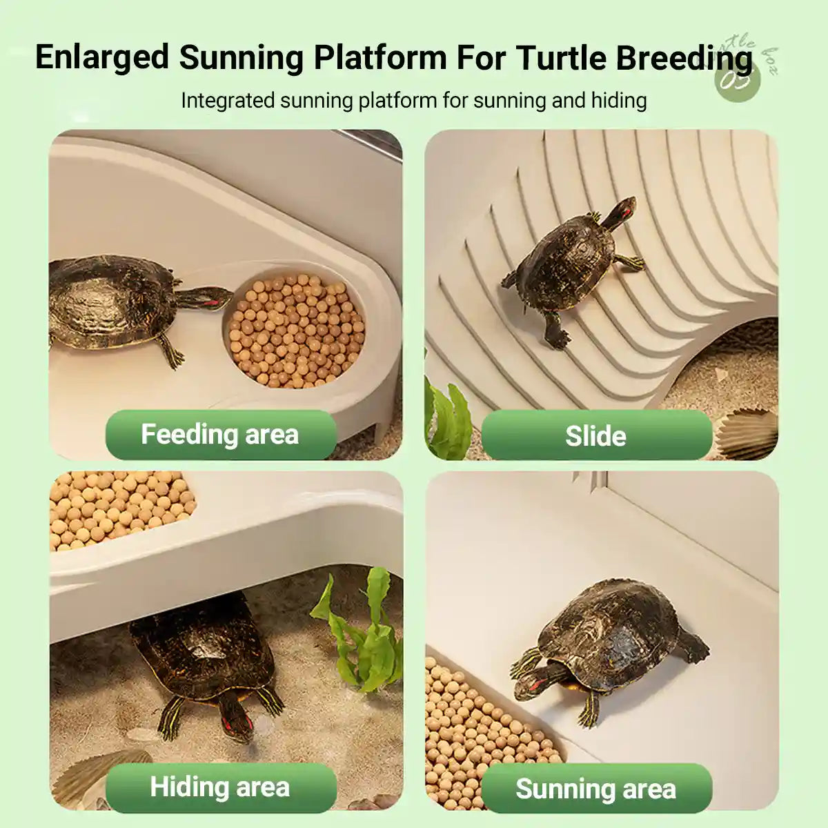 Turtle Breeding Box With Panoramic View