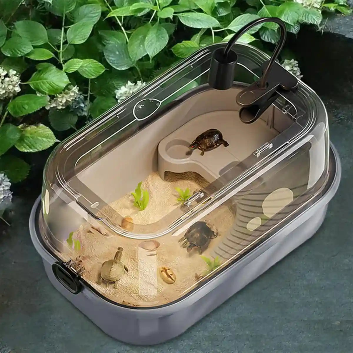 Turtle Breeding Box With Panoramic View