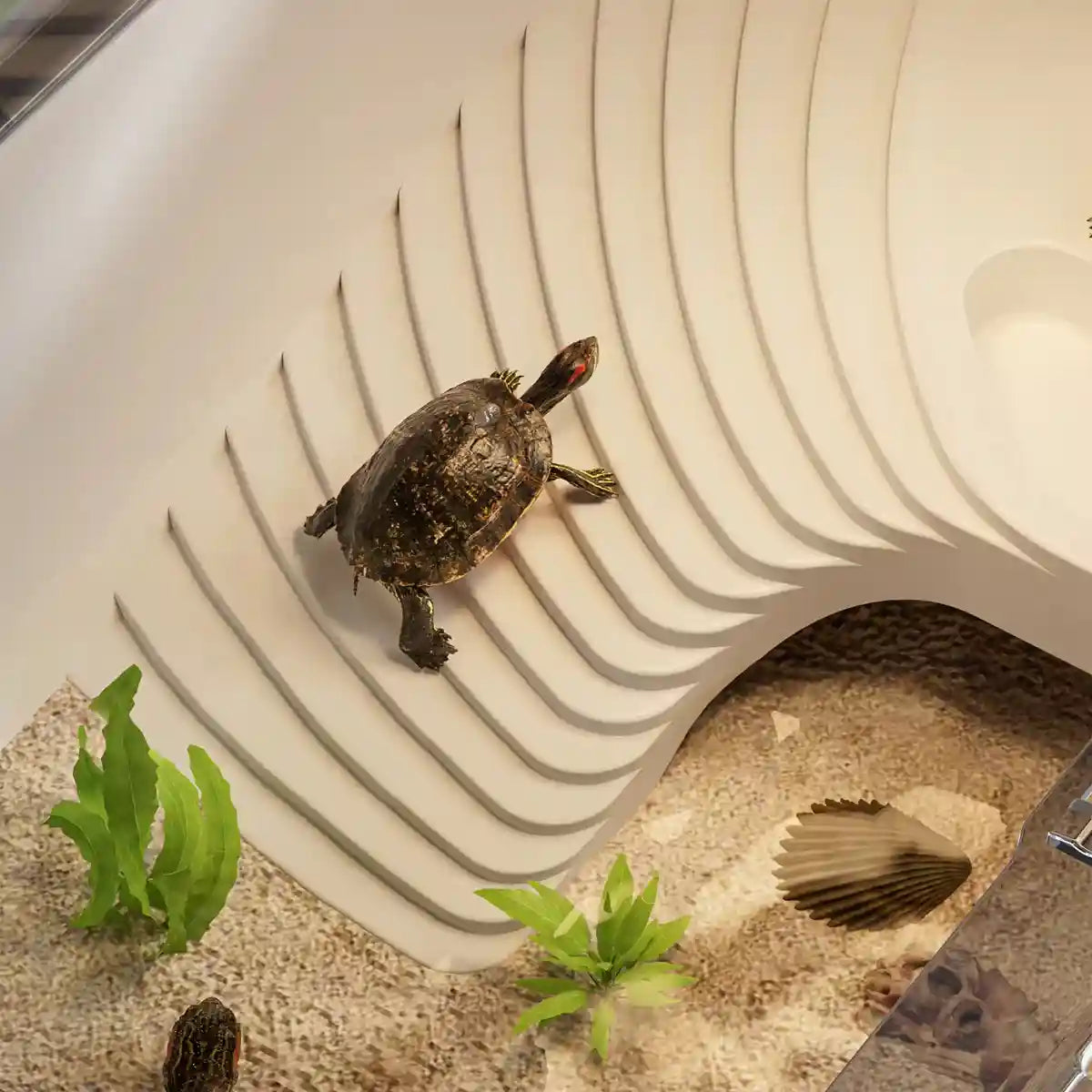 Turtle Breeding Box With Panoramic View