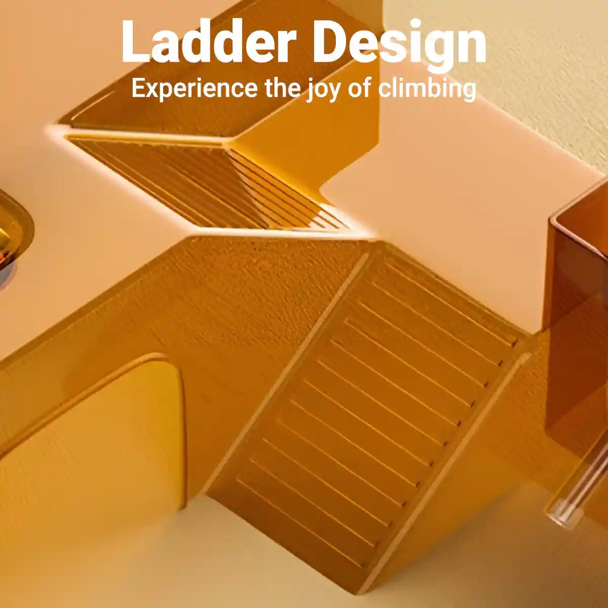 Transparent Hamster Platform With Bottle & Feeder