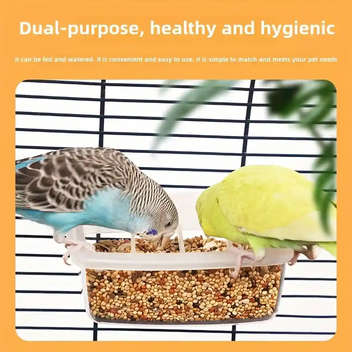 Transparent Bird Seed Feeders for Small Pets with Anti-Splash Design