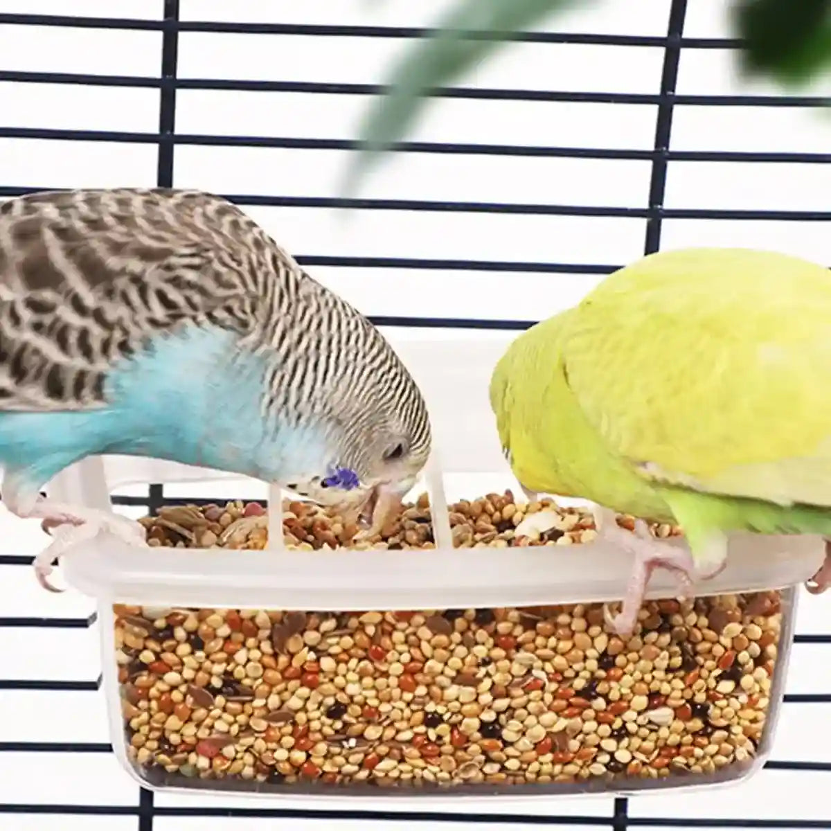 Transparent Bird Seed Feeders for Small Pets with Anti-Splash Design