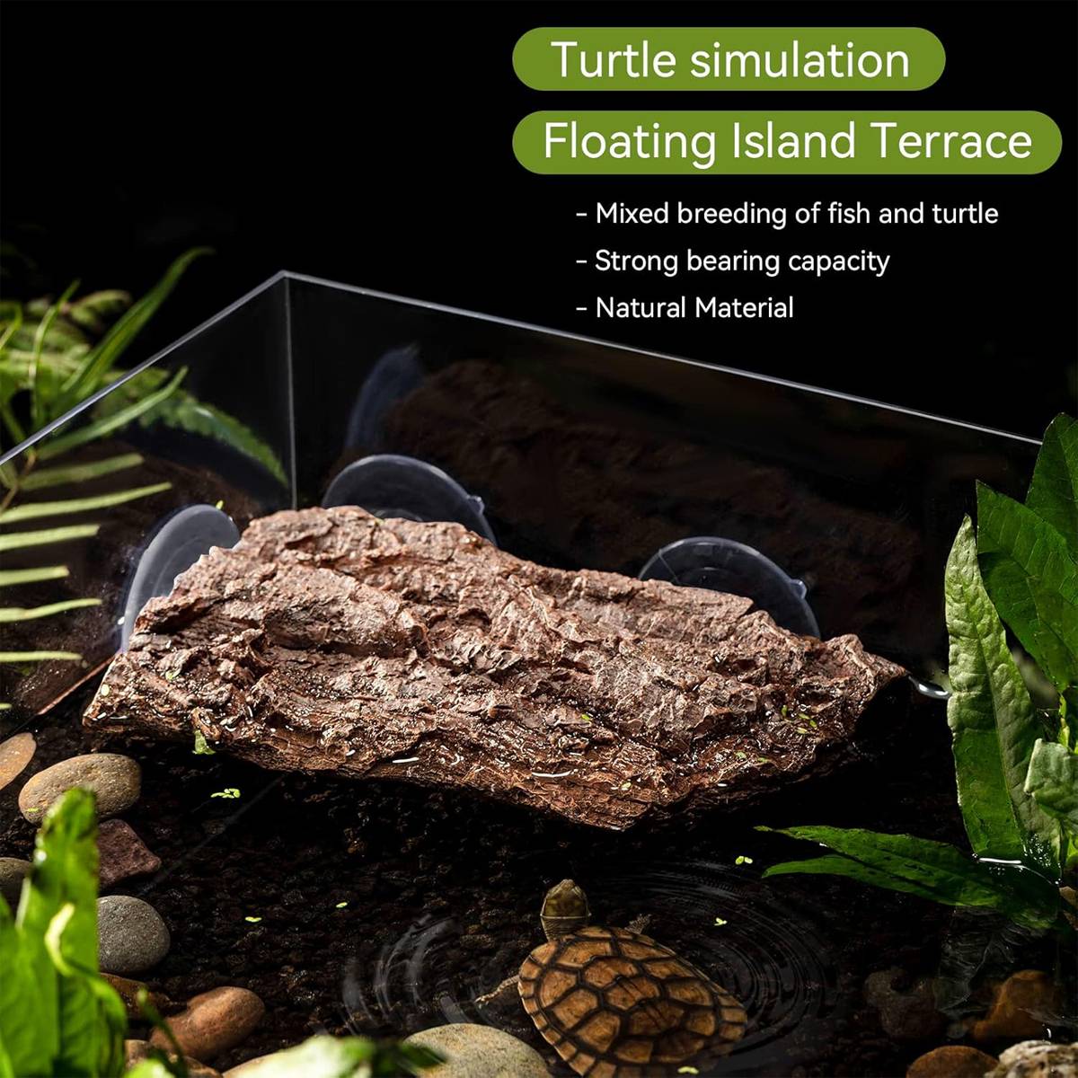 Turtle Basking Terrace - Tortoise Climbing Platform with Ramp