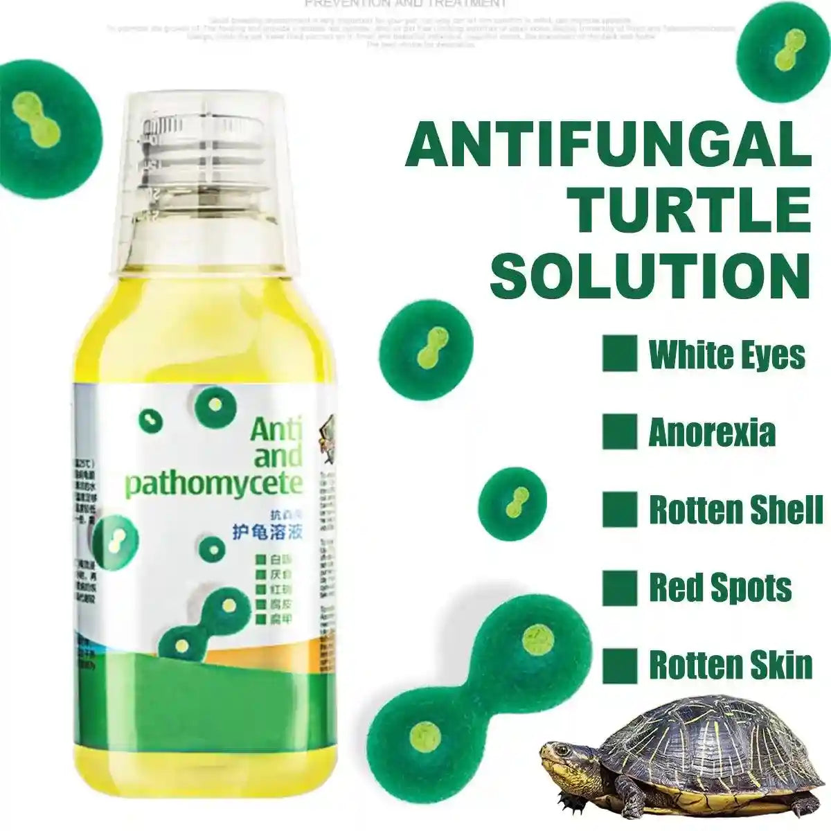Hybrid Solutions turtle wax antifungal solution for shell rot, skin infections, and red spots, ideal for reptile health care