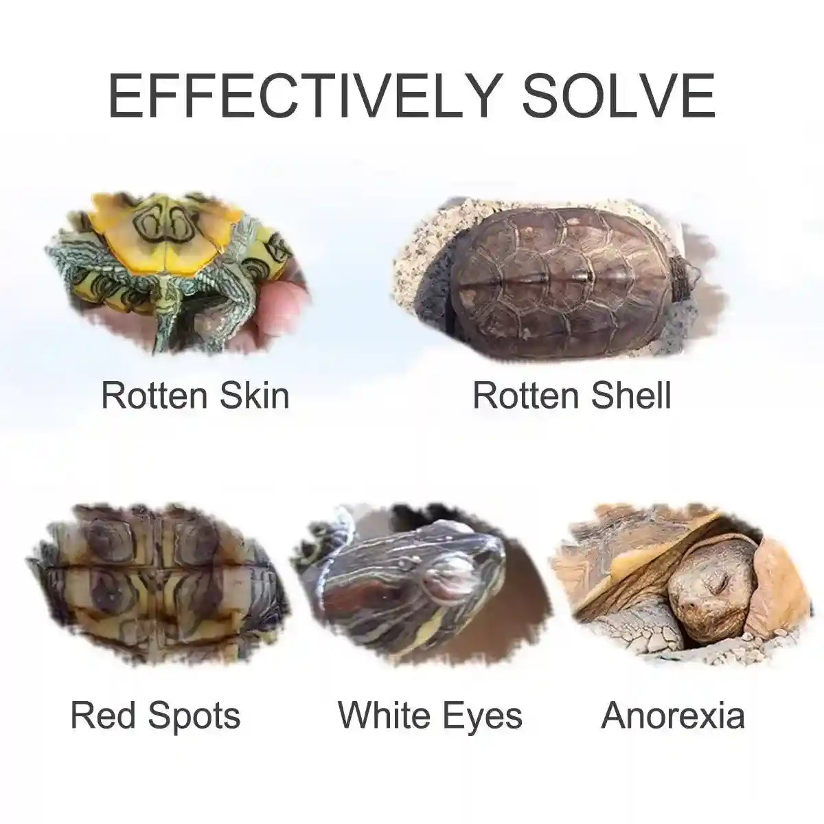 Hybrid Solutions Turtle Wax Antifungal Treatment for Shell & Skin Care(100ml)