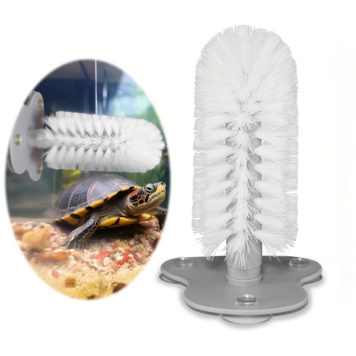 Turtle Shell Cleaning Brush