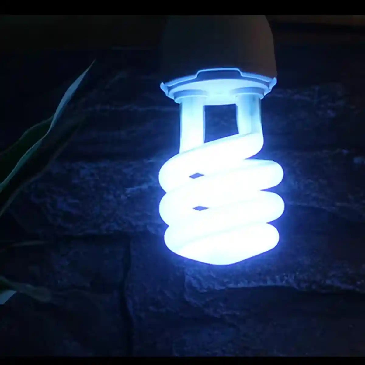 220v13W Climbing Pet UVB Calcium Energy-saving Lamp