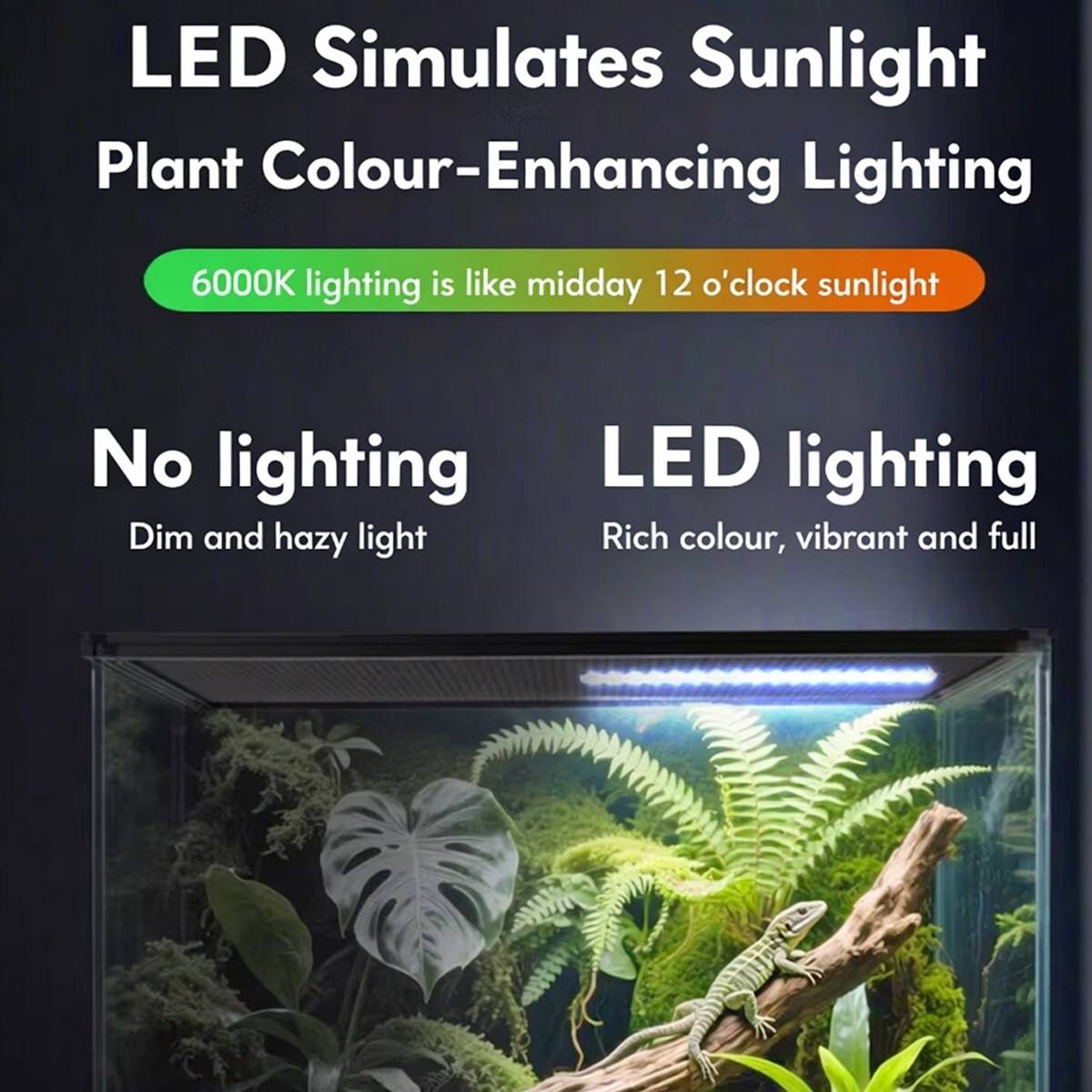 UVB 10.0 LED Reptile Lamp 6W | 3 Lighting Modes UVA + UVB Terrarium Light