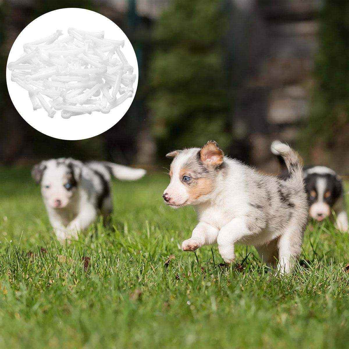 100PCS Umbilical Cord Clamps for Newborn Animals Secure & Hygienic