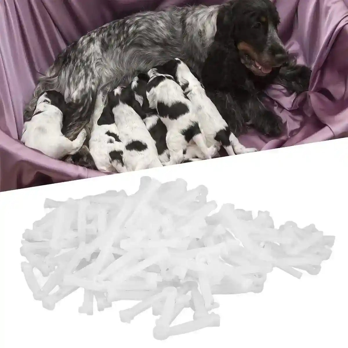 100PCS Umbilical Cord Clamps for Newborn Animals Secure & Hygienic