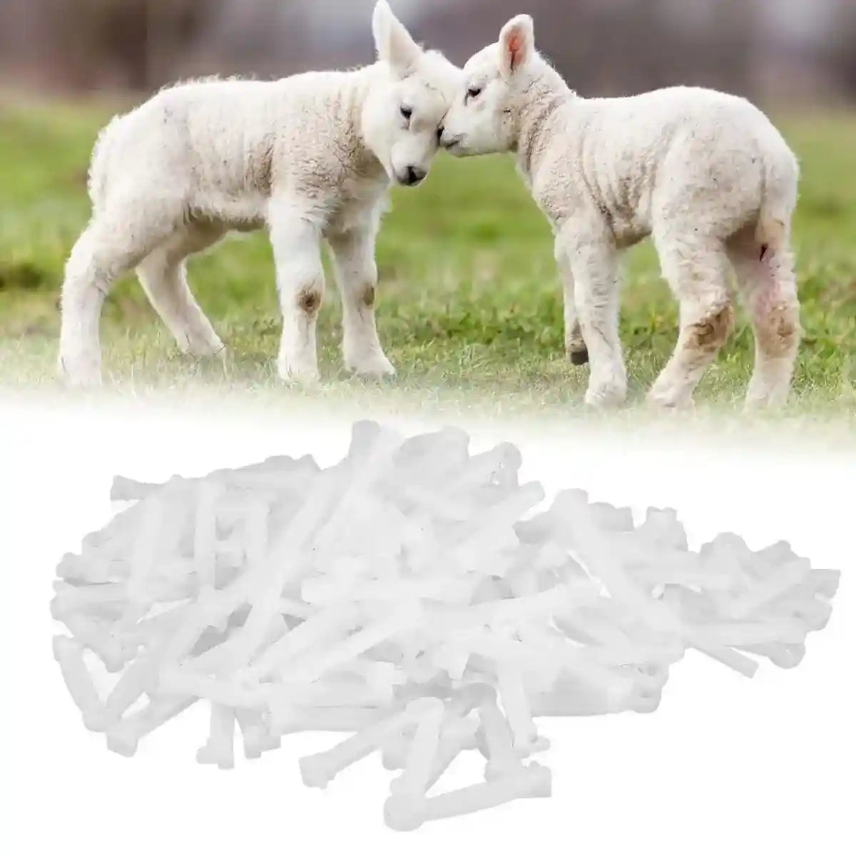 100PCS Umbilical Cord Clamps for Newborn Animals Secure & Hygienic