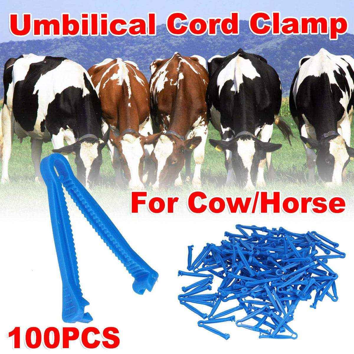 Blue umbilical cord clamps for livestock – disposable calving and foaling tool set