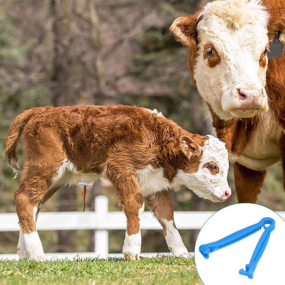 100 PCS Veterinary Umbilical Cord Clamps for Livestock Disposable Tool