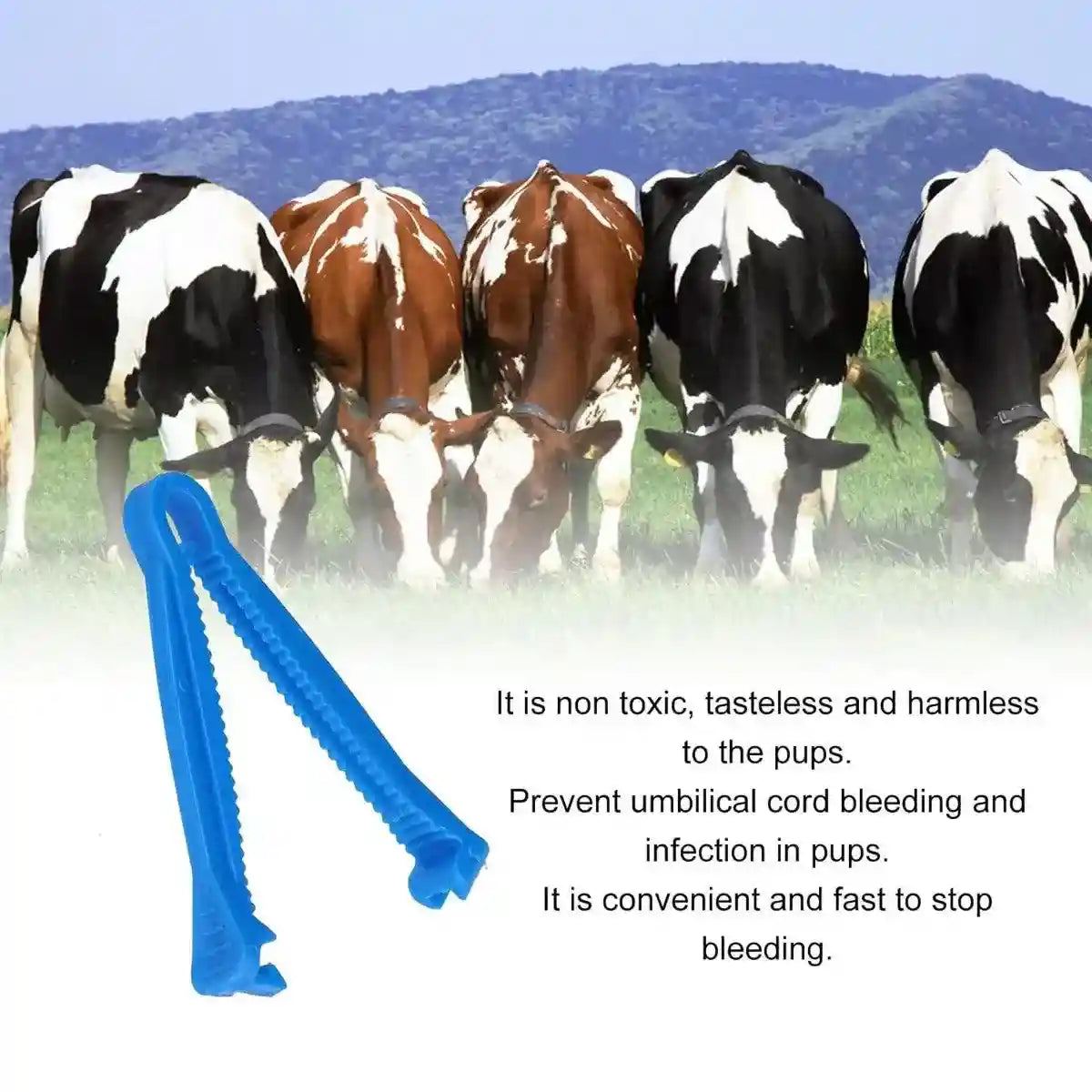 100 PCS Veterinary Umbilical Cord Clamps for Livestock Disposable Tool