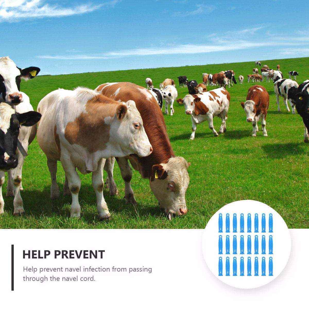 100 PCS Veterinary Umbilical Cord Clamps for Livestock Disposable Tool