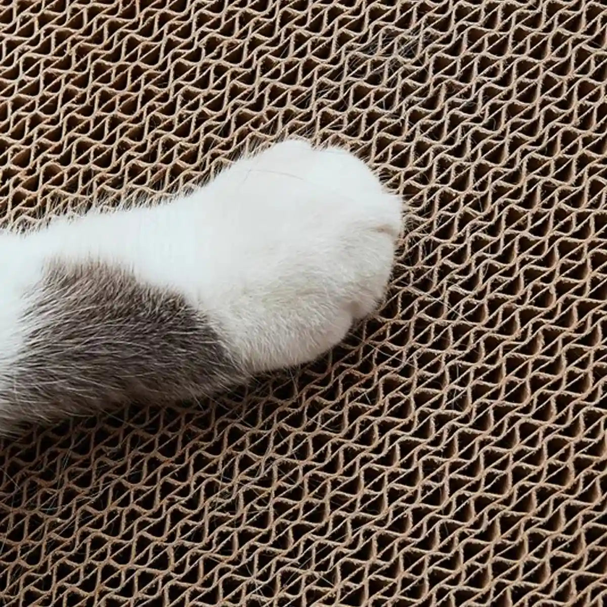 Vertical Cat Scratching Pad with Ball Toy and Ramp