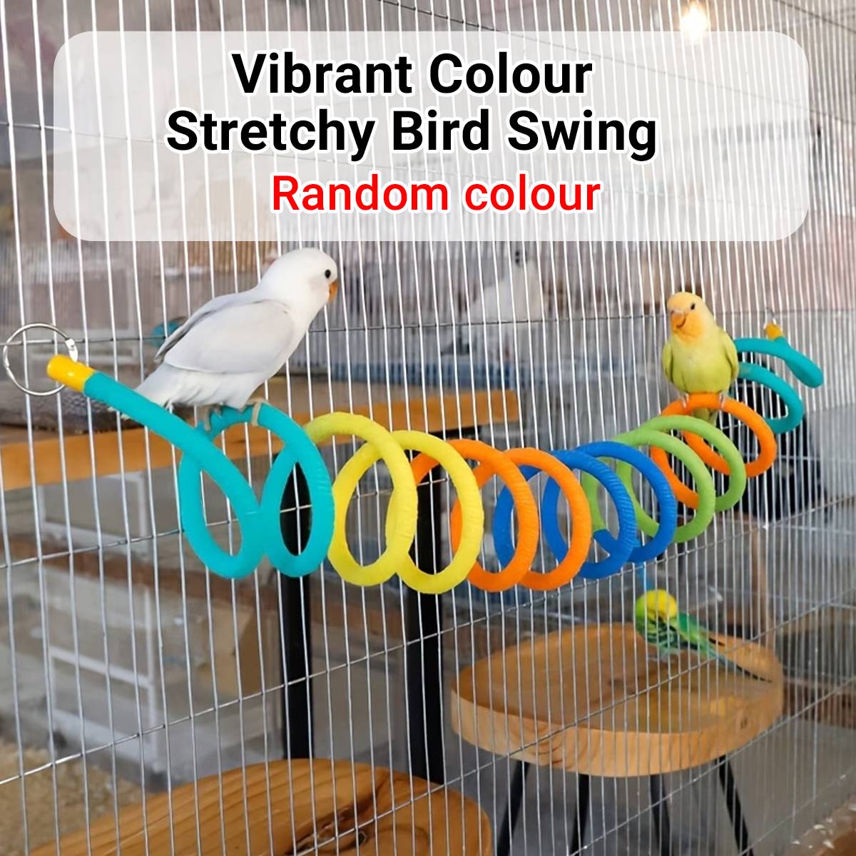 Vibrant Colour Stretchy Spiral Bird Swing Toy for Parrots & Budgies