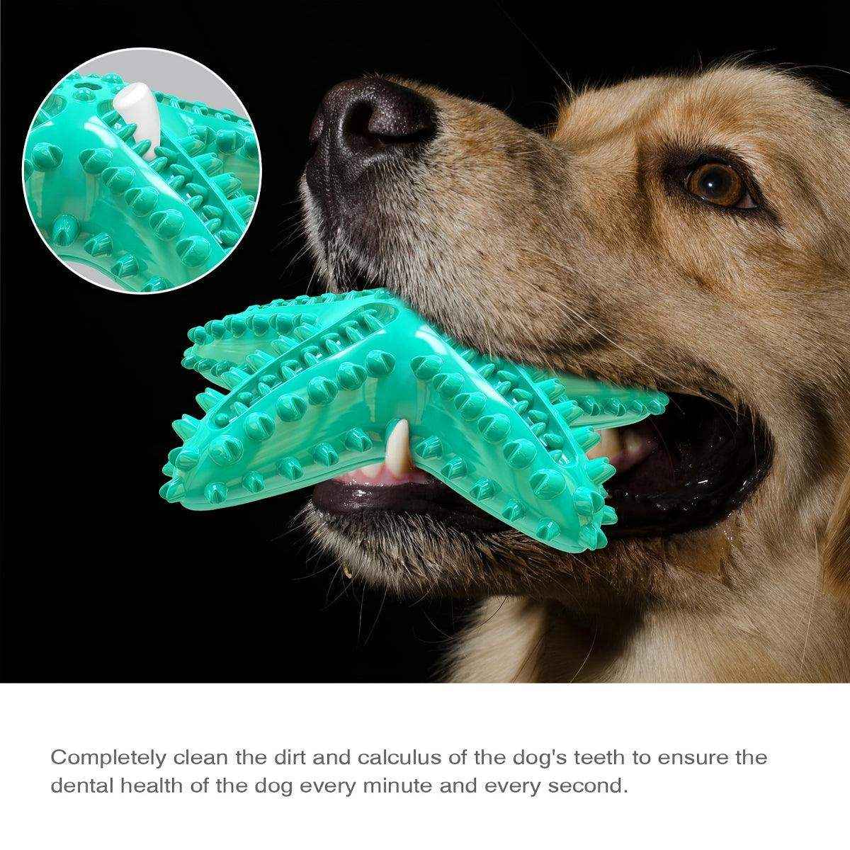 Squeaky Pet Chew Toy Durable Starfish Design for Dogs