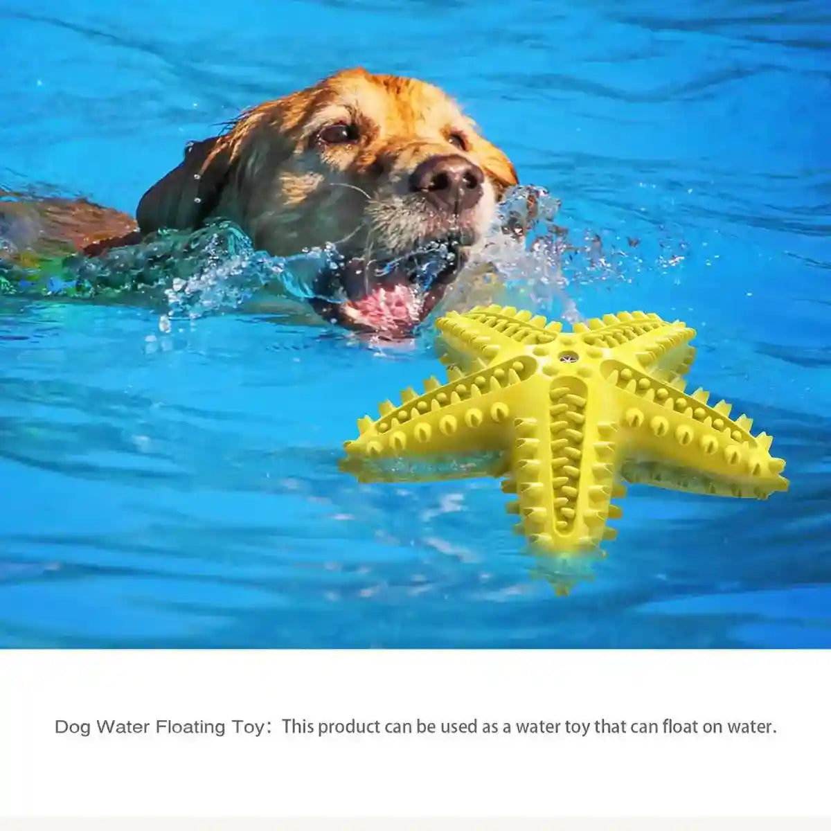 Squeaky Pet Chew Toy Durable Starfish Design for Dogs
