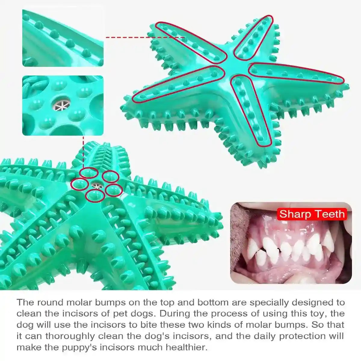 Squeaky Pet Chew Toy Durable Starfish Design for Dogs