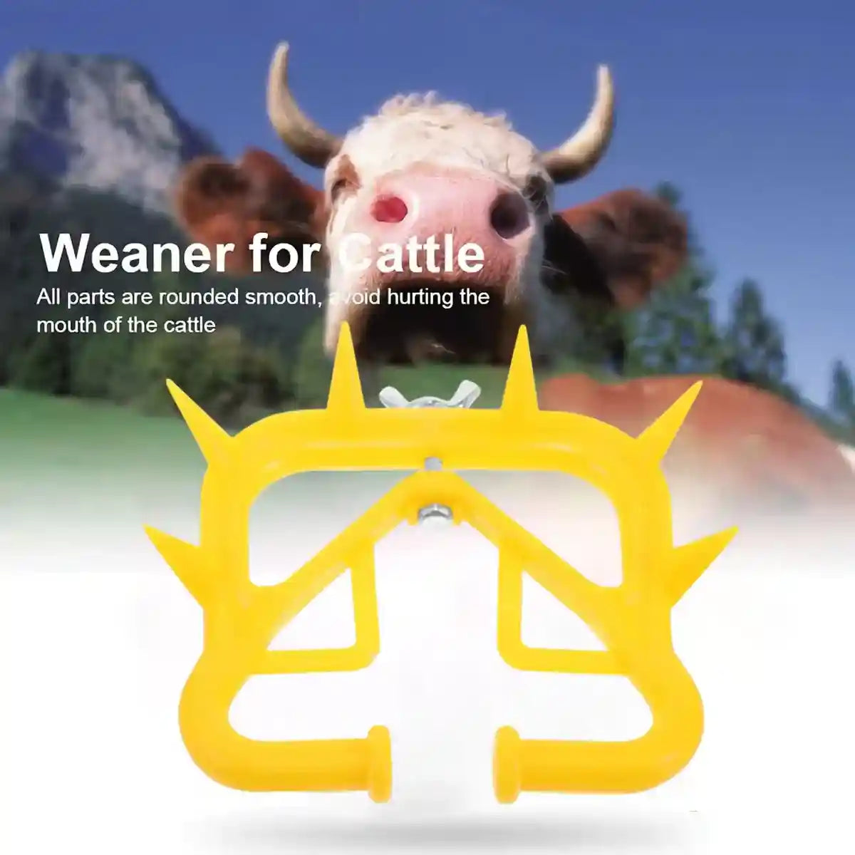 10PCS Calf Weaning Nose Ring with Spikes