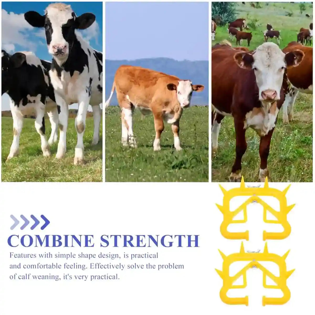 10PCS Calf Weaning Nose Ring with Spikes