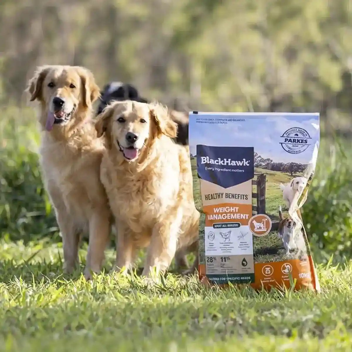 BLACK HAWK DOG HEALTHY BENEFITS WEIGHT 2/10KG