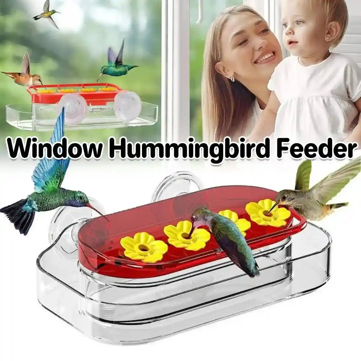 Window Hummingbird Feeder 10oz Capacity with Suction Cup and Ant Moat