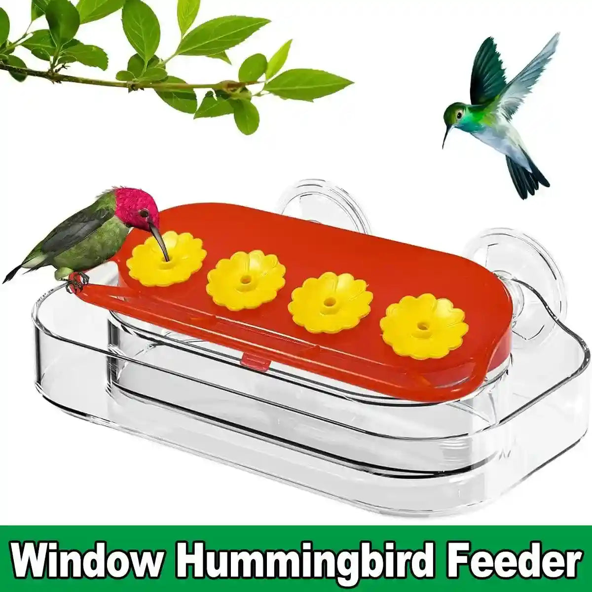 Window Hummingbird Feeder 10oz Capacity with Suction Cup and Ant Moat